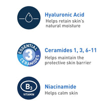 CeraVe Foaming Facial Cleanser 236ml – For Normal to Oily Skin – With Niacinamide, Hyaluronic Acid & Ceramides – 100% Authentic in Pakistan