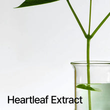 [ANUA] - HEARTLEAF PORE CONTROL CLEANSING OIL – 100% Genuine K - Beauty in Pakistan - ANUA